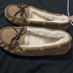 Chestnut uggs